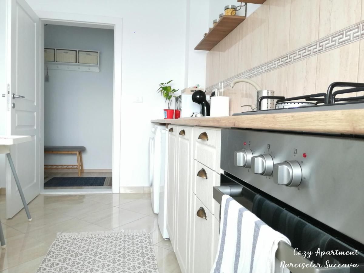 Cozy Apartment Narciselor Suceava Ipotesti  Exterior foto